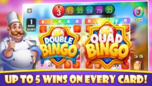 live bingo 3king